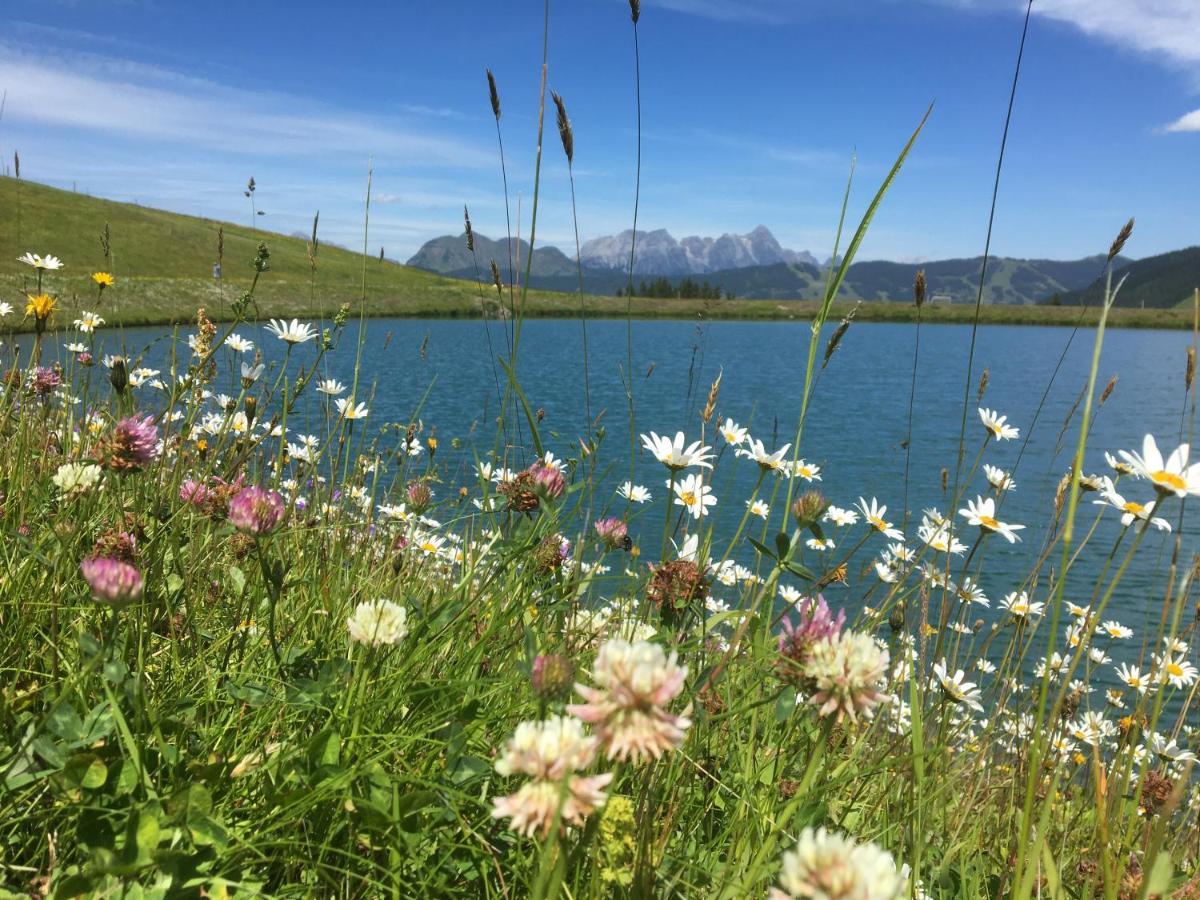 Am Zwoelferkogel Appartements Saalbach-Hinterglemm Esterno foto