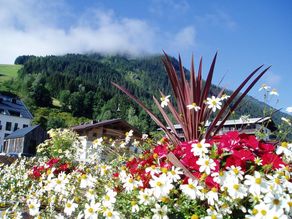 Am Zwoelferkogel Appartements Saalbach-Hinterglemm Esterno foto