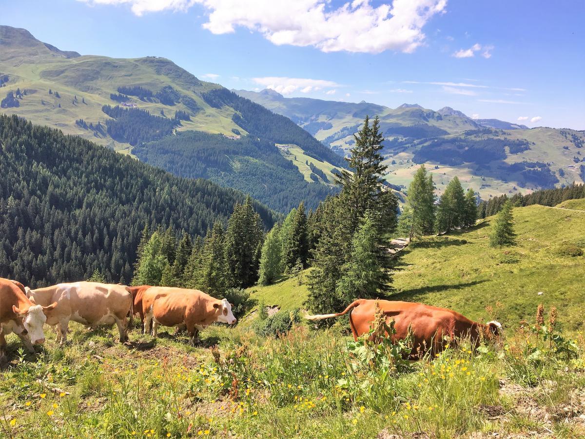 Am Zwoelferkogel Appartements Saalbach-Hinterglemm Esterno foto