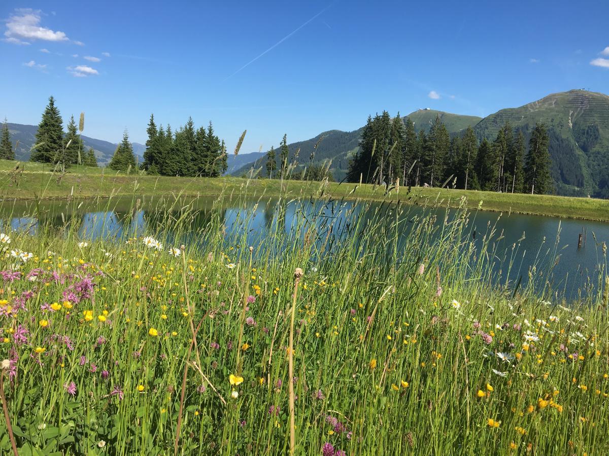 Am Zwoelferkogel Appartements Saalbach-Hinterglemm Esterno foto